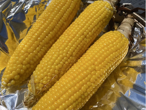 甘みもたっぷりジューシー！生でも食べられるとうもろこし！【ゴールドラッシュ】（100サイズ、16本/10kg以内）
