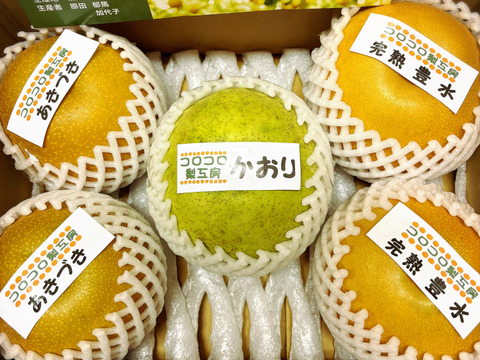 【旬の梨食べ比べ‼️3～5品種】何が届くかお楽しみ😋贈答用2.5kg以上、豊水・あきづき・かおり・あきあかり・二十世紀・南水・にっこり・新高・王秋・新興・愛宕の中から3品種以上詰め合わせます‼️