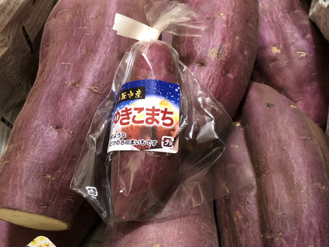 【値下げ】どすこいサイズ「紅はるか」 5キロ箱【訳あり】