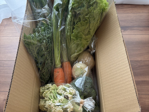 Sサイズ ＊旬野菜セット(約6~7品)【農薬：栽培期間中不使用】