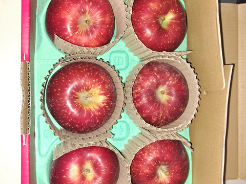 【希少種】【紅いわて】（2kg・6～9個入り）パリ甘・ジューシーお得な家庭用