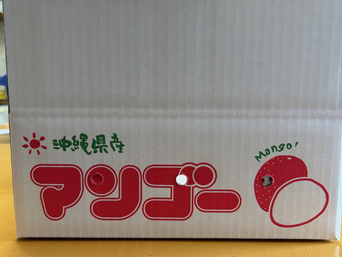 ☆数量限定☆<<ご家庭用>>沖縄県産完熟マンゴー4kg（大小サイズ