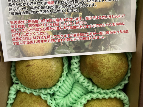 【毎年完売感謝】 【2025年度先行予約】 幻の品種 数量限定販売！秀品 ラネージュ！ 約2㎏ 6玉～10玉 山形県産 RNE01-01-01