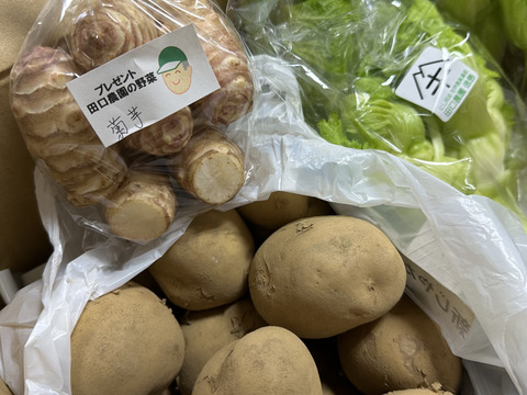 少量おためし、四川児菜・祝蕾(子持ち高菜）　１ｋｇ（２５０ｇ袋詰めⅩ４袋）
世界農業遺産ブランド認定野菜
ピリッと辛みとほんのり甘みのハーモニーをお楽しみください。