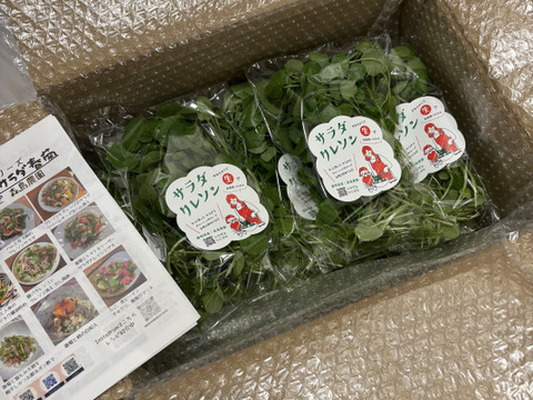 【★生で食べるサラダクレソン！！★】サラダクレソン（40ｇ×10袋）とにかくやわらかくてくせになる！