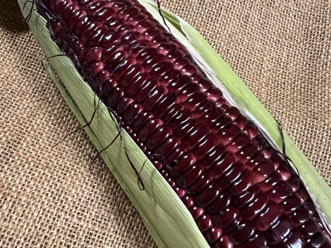 山形の大和ルージュ5本入り