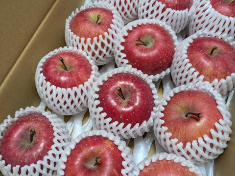 大臣賞受賞農家ふじ　3キロ　12～9玉　秋田県から名誉ある受賞農家よりご家庭用ふじを食卓へ