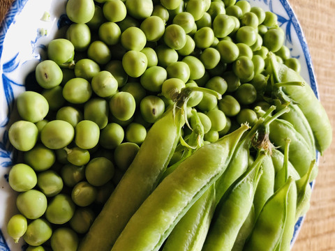 丹波篠山産　うすいえんどう豆　サヤ付き2kg