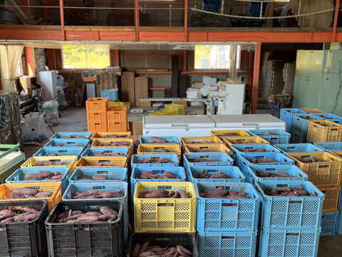 北海道初【2年連続 野菜ソムリエサミット金賞受賞】熟成べにはるか ★超特大プレミアム★ 洗浄済 /5kg/