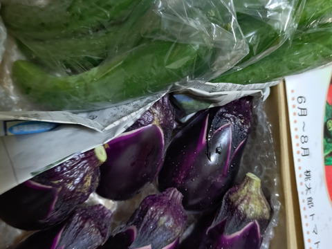 【お漬物セット】皮の柔らかい水茄子と胡瓜のセット商品‼️60サイズの箱でお届け‼️