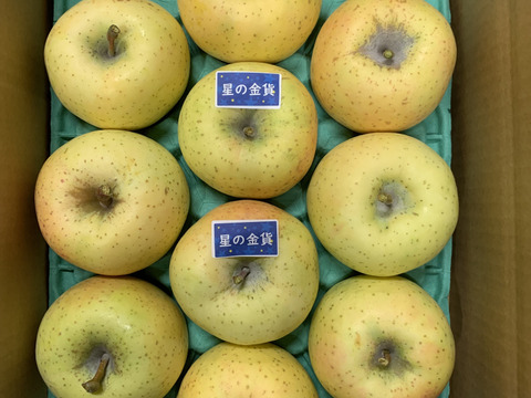 まるかじり！星の金貨🍏