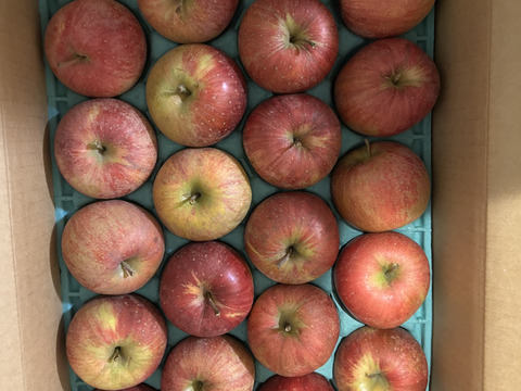 『ふじ』＆『ぐんま名月』食べ比べ小玉8キロ🍎🍏(42～48玉)