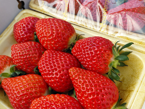 ワイン堆肥で栽培！　べにたま『埼玉いちご』　2パック詰め中粒」
環境保全に取り組みながら「美味しいだけじゃない苺」を栽培
地域資源循環型農業で有機ゴミを有効活用できる「いちご特別栽培」認証！