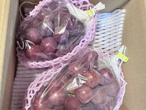 甘く美しい長野県限定品種　クイーンルージュ　900g（2〜3房）　秀品 【日時指定不可商品】