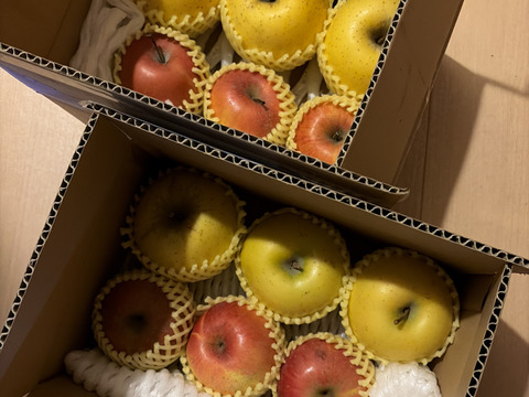 【りんご農家におまかせ！】おまかせ食べ比べ2種 訳あり 約1.5kg(4-9玉) 長野県 信州 りんご リンゴ #NAX0C015