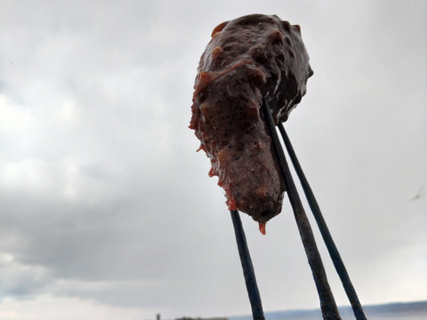 【漁師直送】青森県深浦町産 天然 赤ナマコ・黒ナマコ（混在）【1kg】