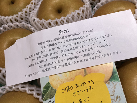 秋は南水梨で間違いナシ！！ 南水 梨 （5kg）