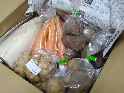 【群馬県高崎市産】冬野菜のお試しセット（4~5品）『農薬及び化学肥料不使用』