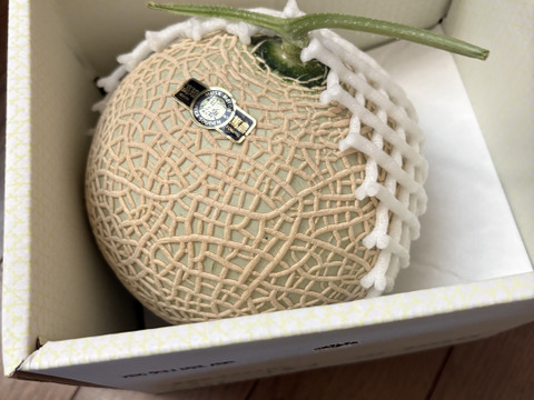 「外まで甘い」1玉箱入り高糖度マスクメロン