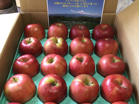 『シナノスイート』ご家庭用秀品約５kg　スマートフレッシュで収穫時の鮮度そのままサックサク！甘くてジューシー！