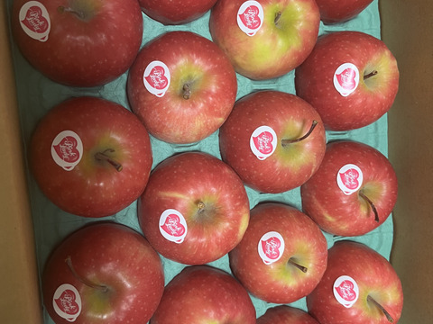 キュンとくる酸味りんご❗　ピンクレディー®（12個から16個）箱含め3キロ