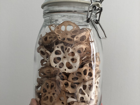 【自然栽培】甘くてシャキシャキ！ご馳走畑のご馳走れんこん　珍しい静岡県産（ご家庭用・2000円分）