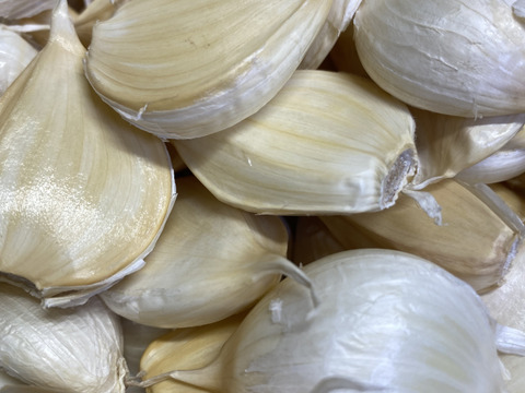 令和7年産　青森県産にんにく　バラ　５００g  訳あり