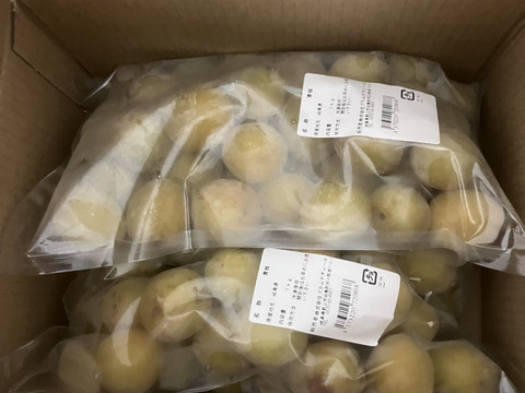 冷凍青梅1kg×2袋】 品種混合 梅酒や梅シロップに！岐阜県郡上市産100
