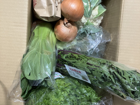 【福袋】玉ねぎ4kg🧅とキヌヒカリ玄米2kgその他葉物野菜など3種類以上の野菜セット
