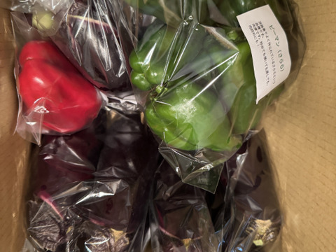 【淡路島より旬をお届け】どーんとなす　水ナス　ピーマン 【朝どれ！新鮮！！】
