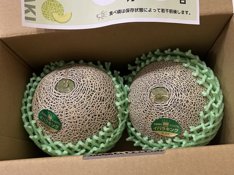【糖度満点イバラキング】                                   口の中でとろけて飲める果実🍈