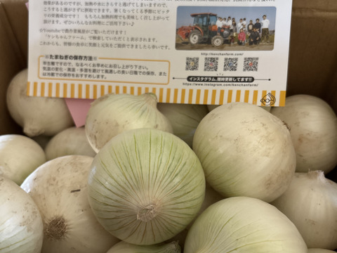 ≪希少品種!≫真っ白な白たまねぎ 5kg 特別栽培 ひょうご安心 ≪希少品種!≫真っ白な白たまねぎ 5kg 特別栽培 ひょうご安心