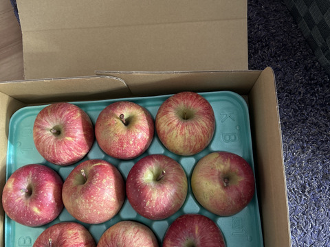 農薬半減栽培【キズなし良品】低農薬で皮ごとうまい🍎サンふじ🍎3kg  葉とらずりんご 旬 化学肥料不使用 特別栽培認証取得