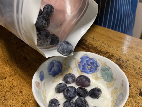 【冷凍】旬の甘みをそのまま急速冷凍！大粒プレミアム冷凍ブルーベリー（250g×2 パック）【栽培期間中農薬不使用】ハイブッシュ／ラビットアイ系