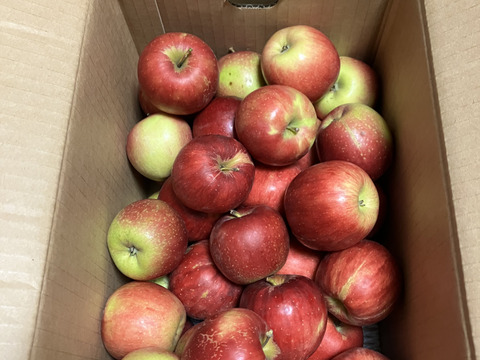 終了間近！家庭用訳あり紅玉箱込5.5キロバラ詰　りんご
