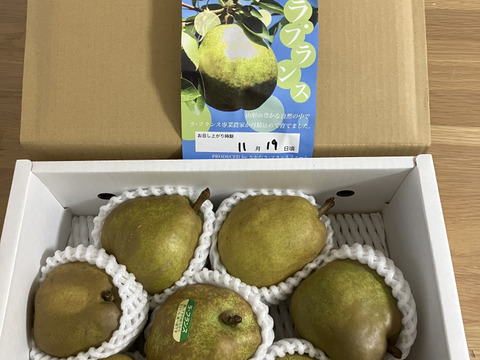 【ラフランス専業農家が贈る】ラ・フランス２ｋｇ 2Lサイズ7玉入り