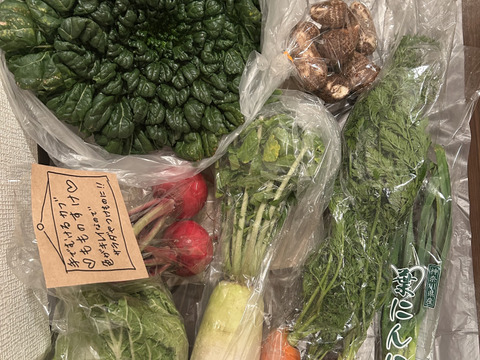 【新春　1月発(^^♪】双葉農園の”イチオシ”の7種の野菜セット　 〜from 名水の里　神奈川県秦野市