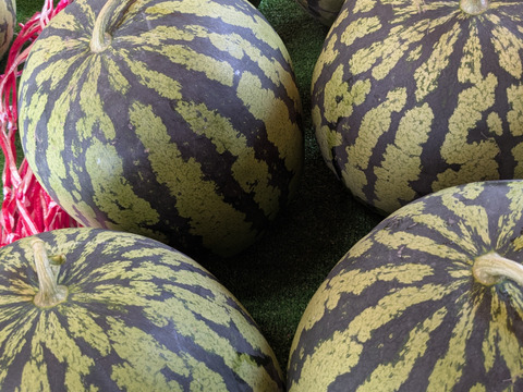 池多すいか３L、2L