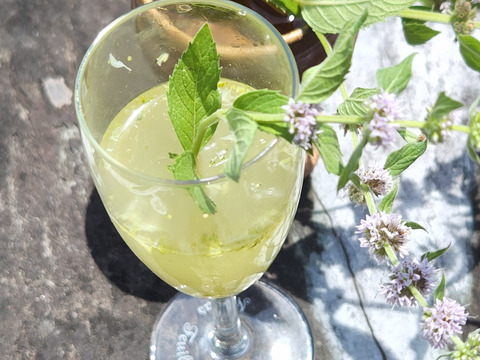 初物❗箱入りレモン息子(栽培期間中農薬不使用・有機肥料・ノーワックス)皮まで食べて❗