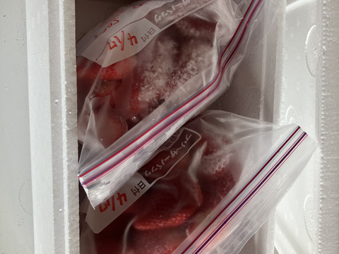 冷凍いちご１Kg（500g×2袋）石垣いちごをヘタを取って冷凍にしました