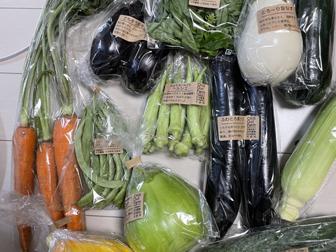 【色鮮やか「今が旬！野菜」】約8品目の野菜/農薬・化学肥料不使用/めずらしい野菜も！（簡単な調理例記載あり！）
