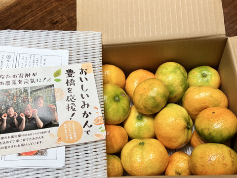 【夏ギフト】とろける甘さ！濃厚ハウスみかん！薄皮で果汁たっぷり！冷蔵庫でキンキンに冷やしてやみつき！ネットで話題のブランドみかん！「蜜ツ星（みつぼし）」　お試し品　サイズ混合　約２ｋｇ【商品番号24】