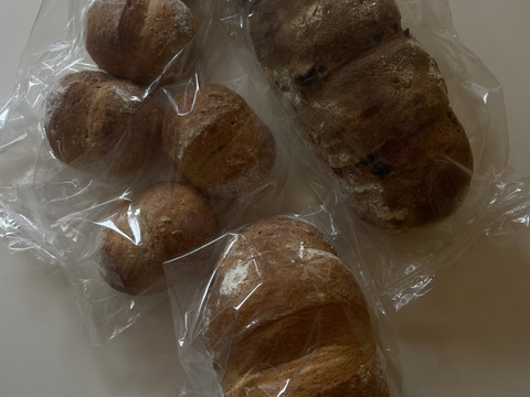 【希少種】３種食べ比べ！バケッド２本　プチバケット5個