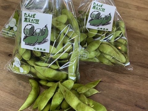 【数量限定】丹波市産　黒枝豆　
サヤ200g✖️5袋‼️子どもから大人まで👍