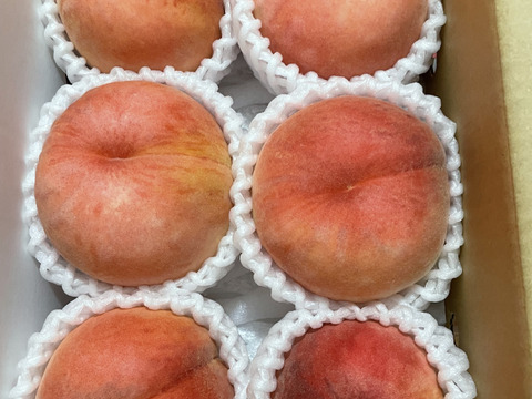 【お届けは8月中旬～】おどろき(おうち用)「驚きの硬さ!!」1.5kg(4～9玉)
