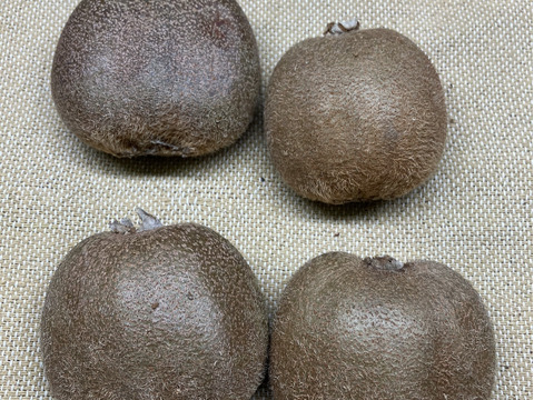 農薬・化学肥料・除草剤不使用　生産量日本一！愛媛県産ふぞろいのキウイたち（ヘイワード）1kg(10〜15個程）