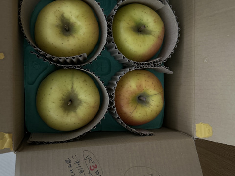 【希少種】【あまみつき】（2kg・6～9個入り）パリ甘・ジューシーお得な家庭用