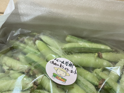 【常温便】希少なエンドウ豆「アラスカ」 0.5kg