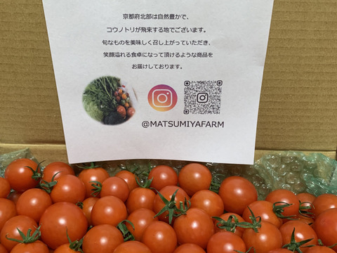 プチプチ食感！から紅のミニトマト