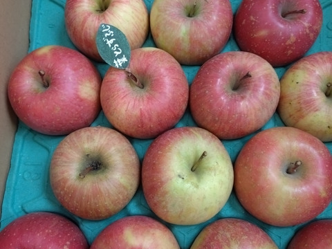 ★★新春セール★★🍎約5キロ🍎レビュー数1900件突破！！葉とらずふじ【家庭用】１３玉～２３玉 青森 りんご リンゴ 訳あり 商品ID165766